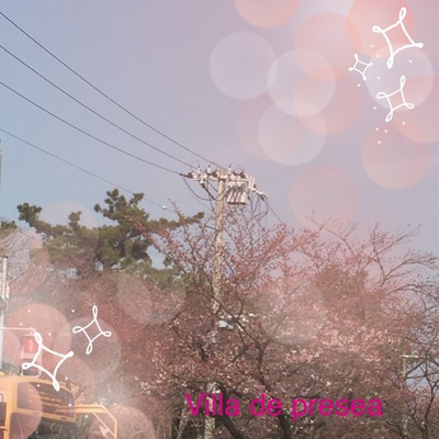 まつむら.JPG